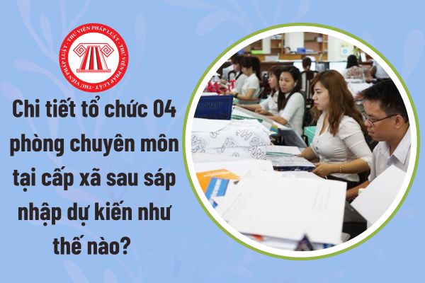 Pháp luật