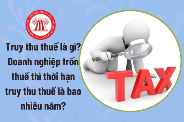 Pháp luật