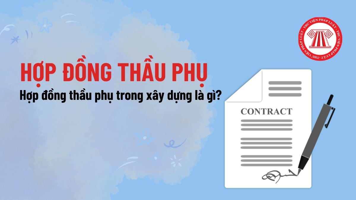 Pháp luật