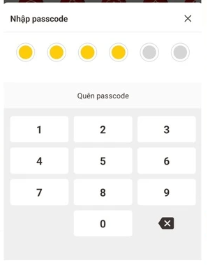 Cách tra cứu điểm giấy phép lái xe trên VNeID? Hướng dẫn tra cứu điểm GPLX trên VNeID nhanh chóng?