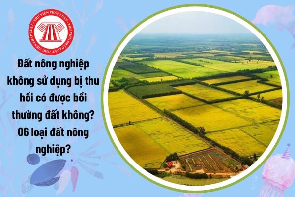 Đất nông nghiệp không sử dụng bị thu hồi có được bồi thường đất không? 06 loại đất nông nghiệp?