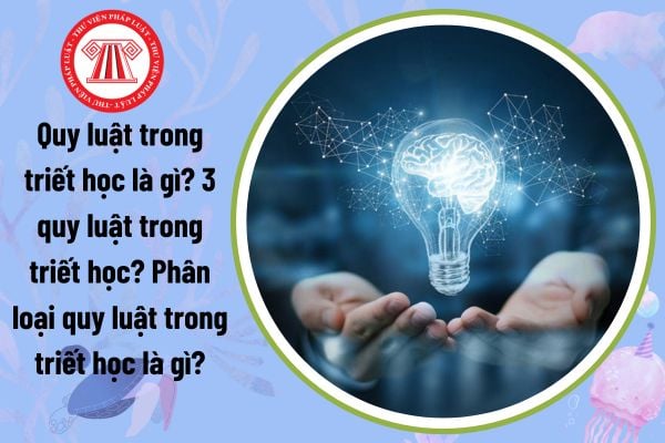 Quy luật trong triết học là gì? 3 quy luật trong triết học? Phân loại quy luật trong triết học là gì?