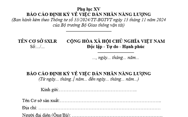 Mẫu báo cáo định kỳ về việc dán nhãn năng lượng xe cơ giới mới nhất và Phụ lục kèm theo? Tải về ở đâu?