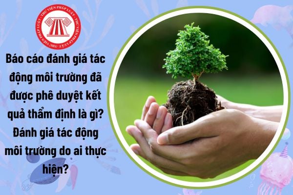 Báo cáo đánh giá tác động môi trường đã được phê duyệt kết quả thẩm định là gì? Đánh giá tác động môi trường do ai thực hiện?