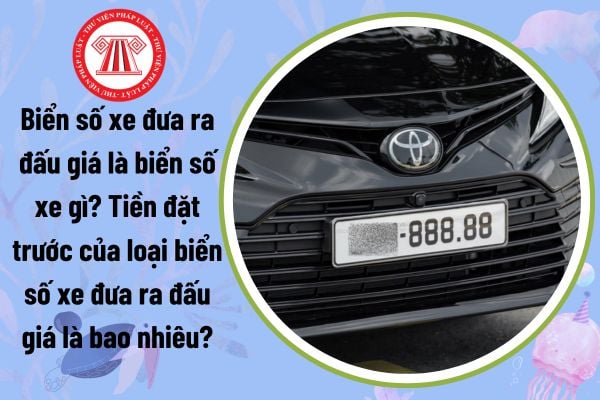 Biển số xe đưa ra đấu giá là biển số xe gì? Tiền đặt trước của loại biển số xe đưa ra đấu giá là bao nhiêu?