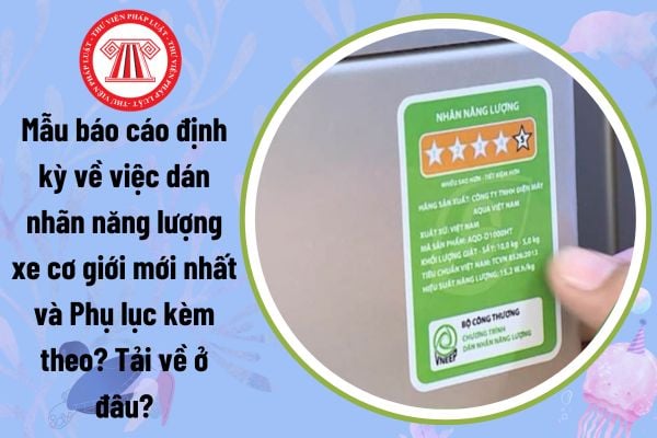 Mẫu báo cáo định kỳ về việc dán nhãn năng lượng xe cơ giới mới nhất và Phụ lục kèm theo? Tải về ở đâu?