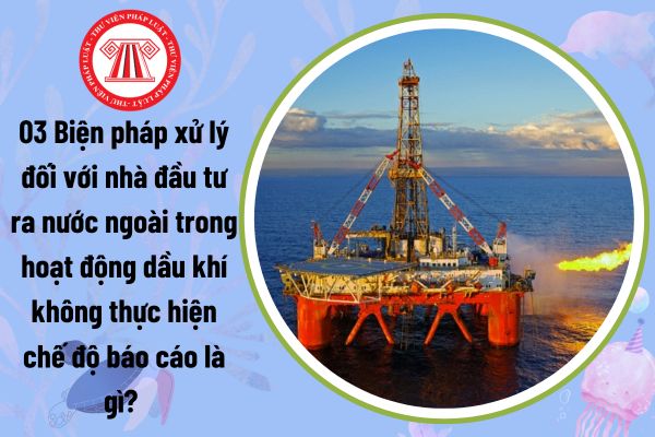 03 Biện pháp xử lý đối với nhà đầu tư ra nước ngoài trong hoạt động dầu khí không thực hiện chế độ báo cáo là gì?