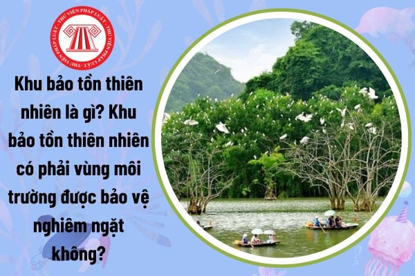 Khu bảo tồn thiên nhiên là gì? Khu bảo tồn thiên nhiên có phải vùng môi trường được bảo vệ nghiêm ngặt không?