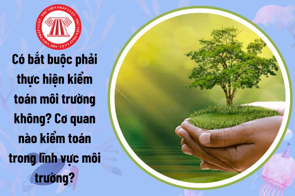 Có bắt buộc phải thực hiện kiểm toán môi trường không? Cơ quan nào kiểm toán trong lĩnh vực môi trường?