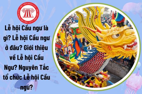 Lễ hội Cầu ngư là gì? Lễ hội Cầu ngư ở đâu? Giới thiệu về Lễ hội Cầu Ngư? Nguyên Tắc tổ chức Lễ hội Cầu ngư?