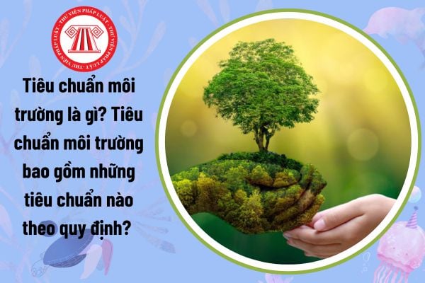 Tiêu chuẩn môi trường là gì? Tiêu chuẩn môi trường bao gồm những tiêu chuẩn nào theo quy định?