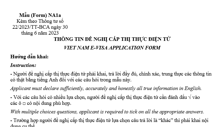 Mẫu Thông tin đề nghị cấp thị thực điện tử mới nhất là mẫu nào theo quy định? Tải về ở đâu?