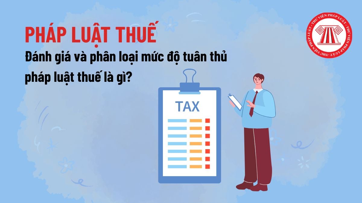 Pháp luật