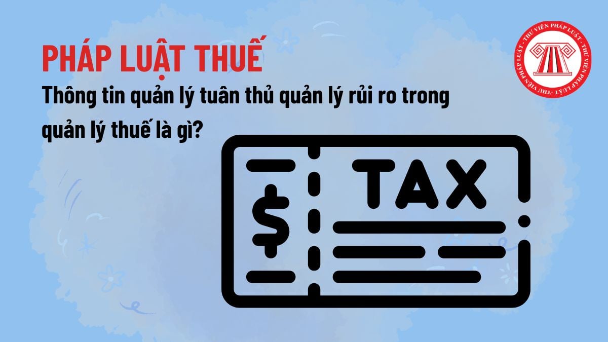Pháp luật
