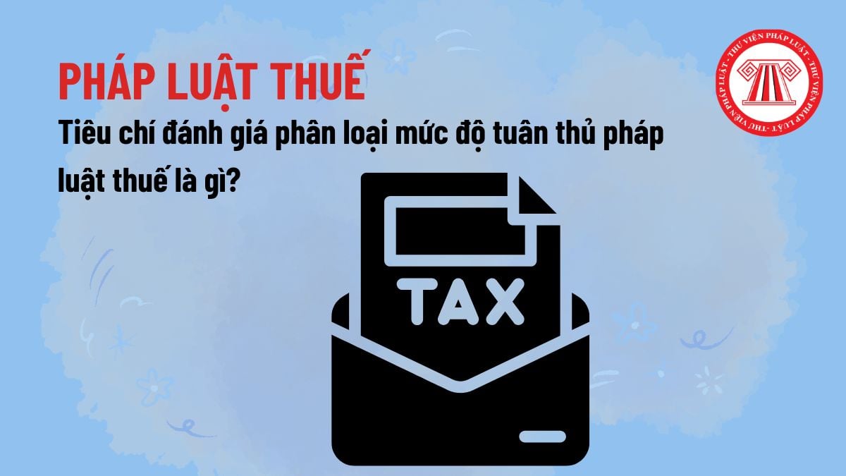 Pháp luật