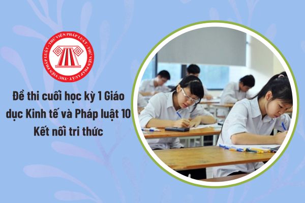 Pháp luật