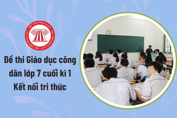 Pháp luật