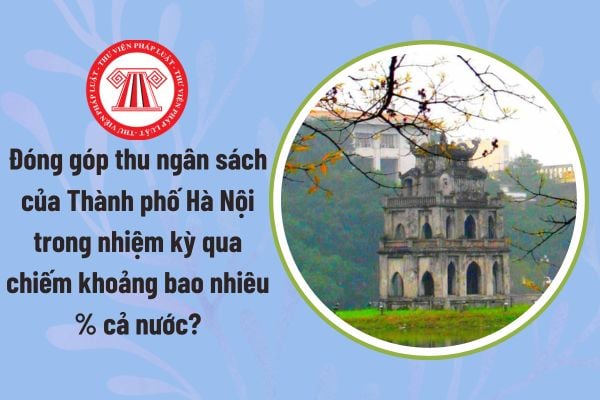 Pháp luật