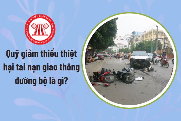 Pháp luật