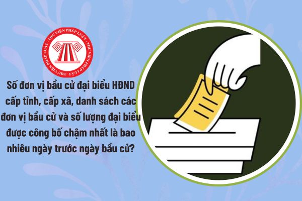 Pháp luật