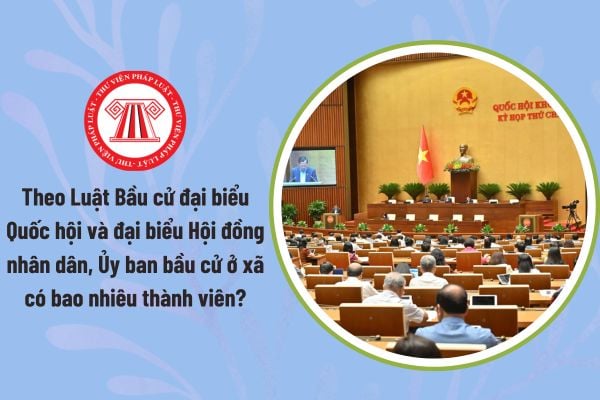 Pháp luật