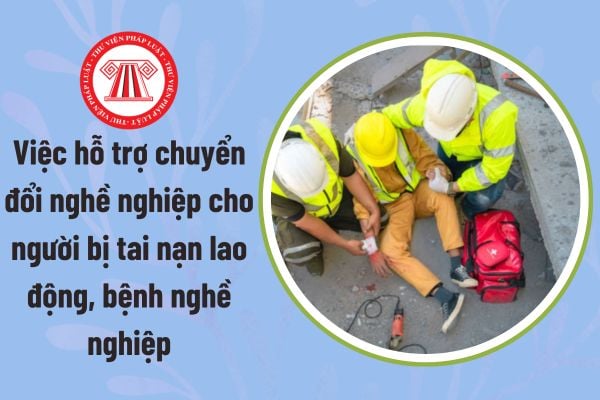 Pháp luật