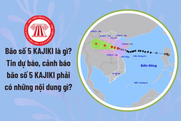 Bão số 5 KAJIKI là gì? Tin dự báo, cảnh báo bão số 5 KAJIKI phải có những nội dung gì?