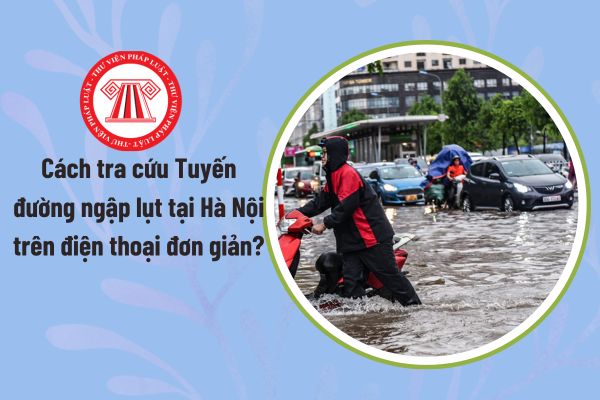 Pháp luật