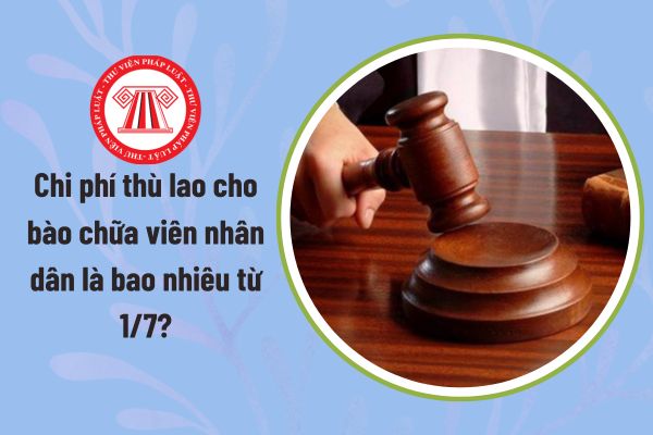 Pháp luật