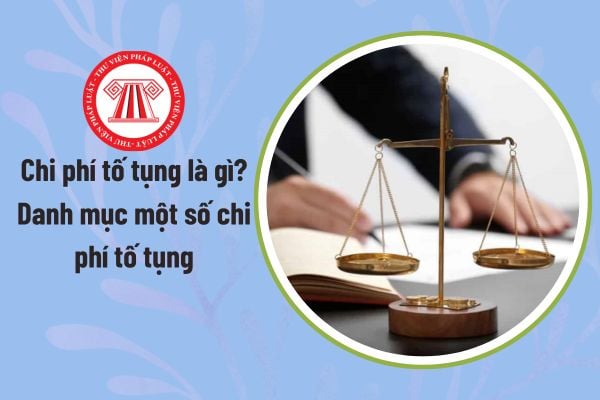 Pháp luật