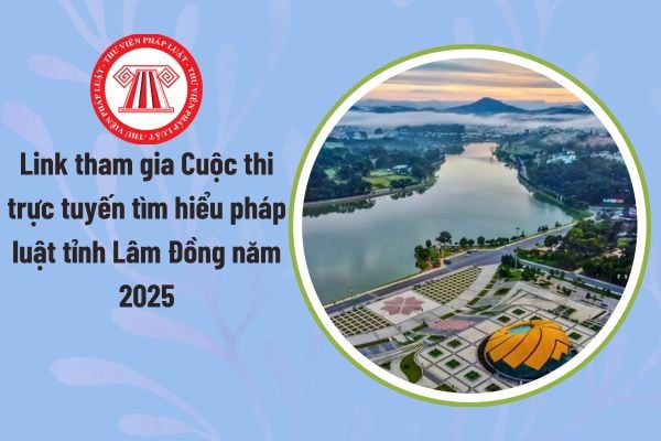 Pháp luật