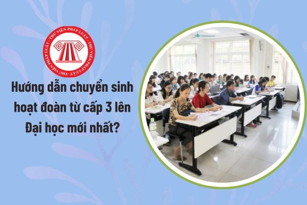 Pháp luật