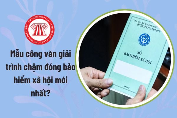 Pháp luật