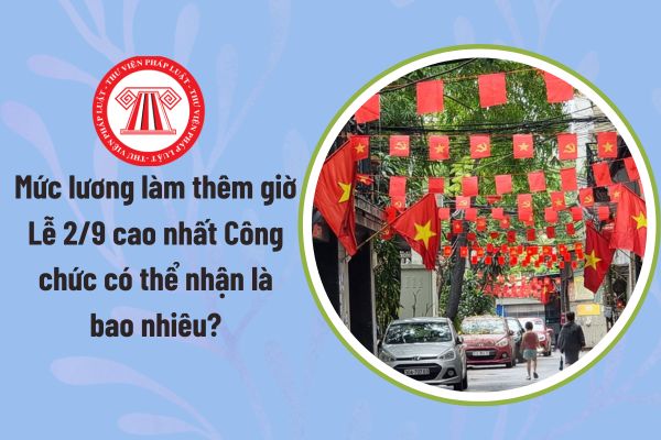 Pháp luật