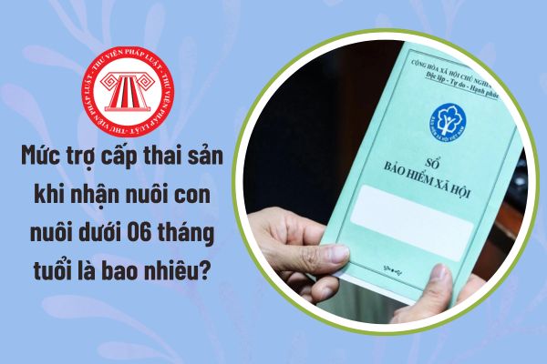 Pháp luật