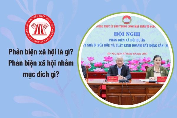 Pháp luật