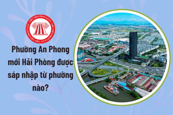 Pháp luật