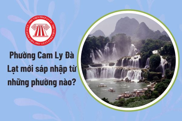 Pháp luật