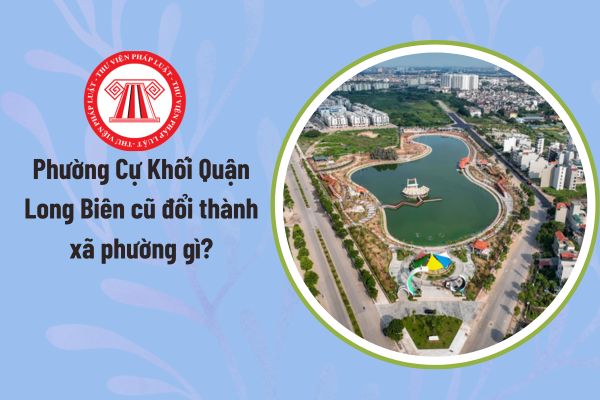 Pháp luật