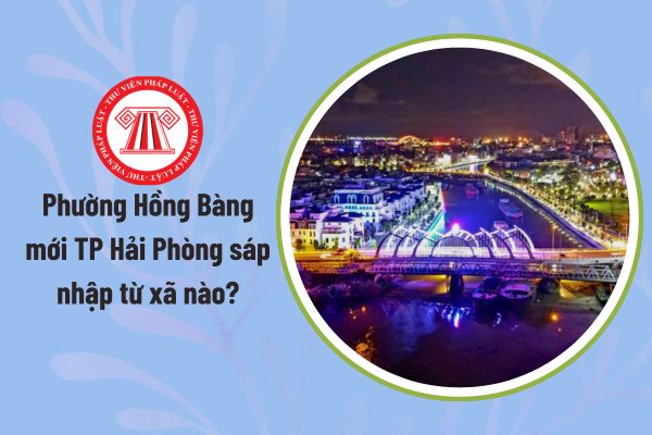 Pháp luật