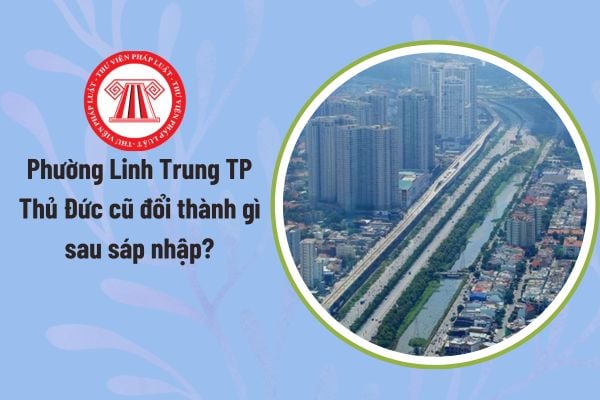 Pháp luật