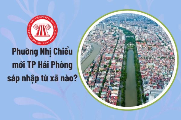 Pháp luật