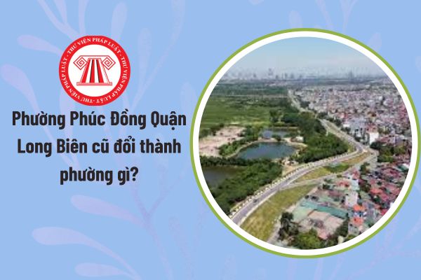 Pháp luật