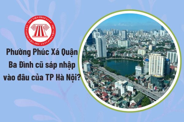 Pháp luật