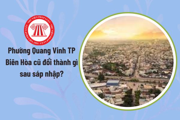 Pháp luật