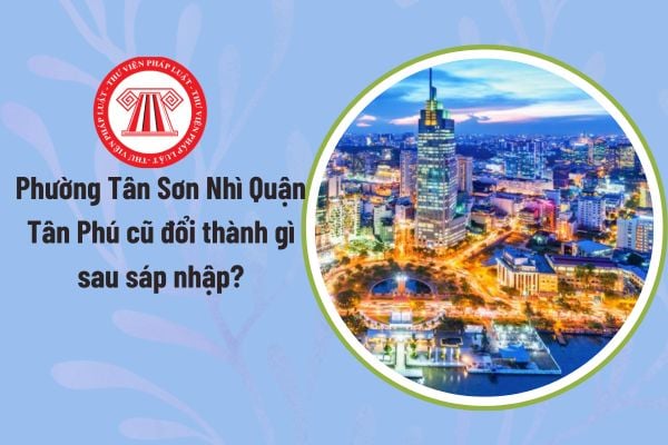 Pháp luật