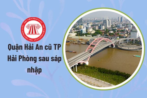 Pháp luật