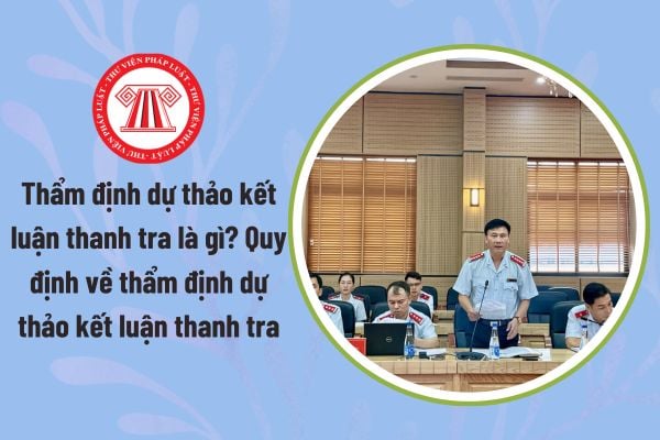 Pháp luật