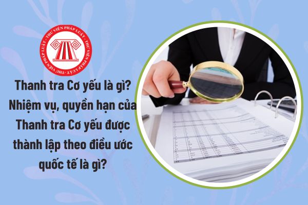 Pháp luật