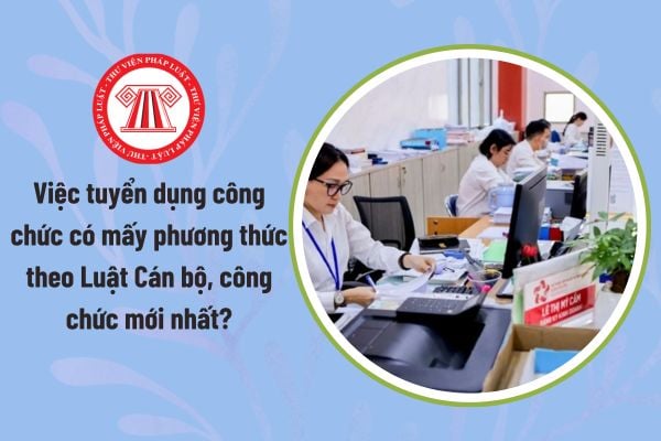Pháp luật